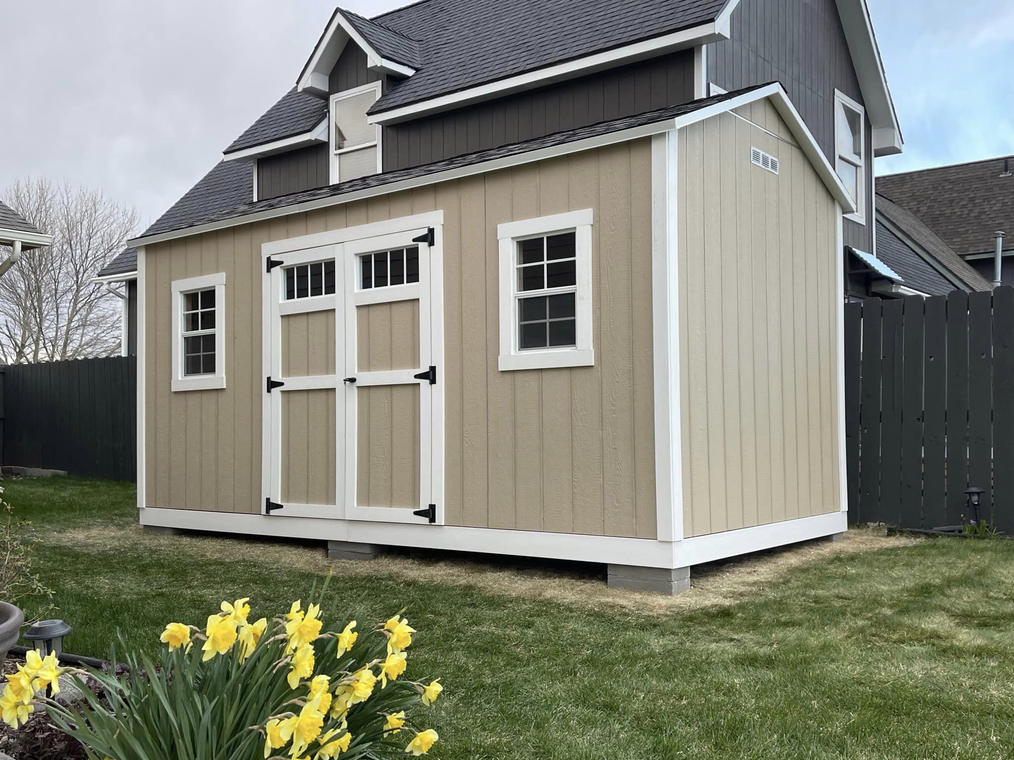Tan backyard wood shed with white trim and two windows.